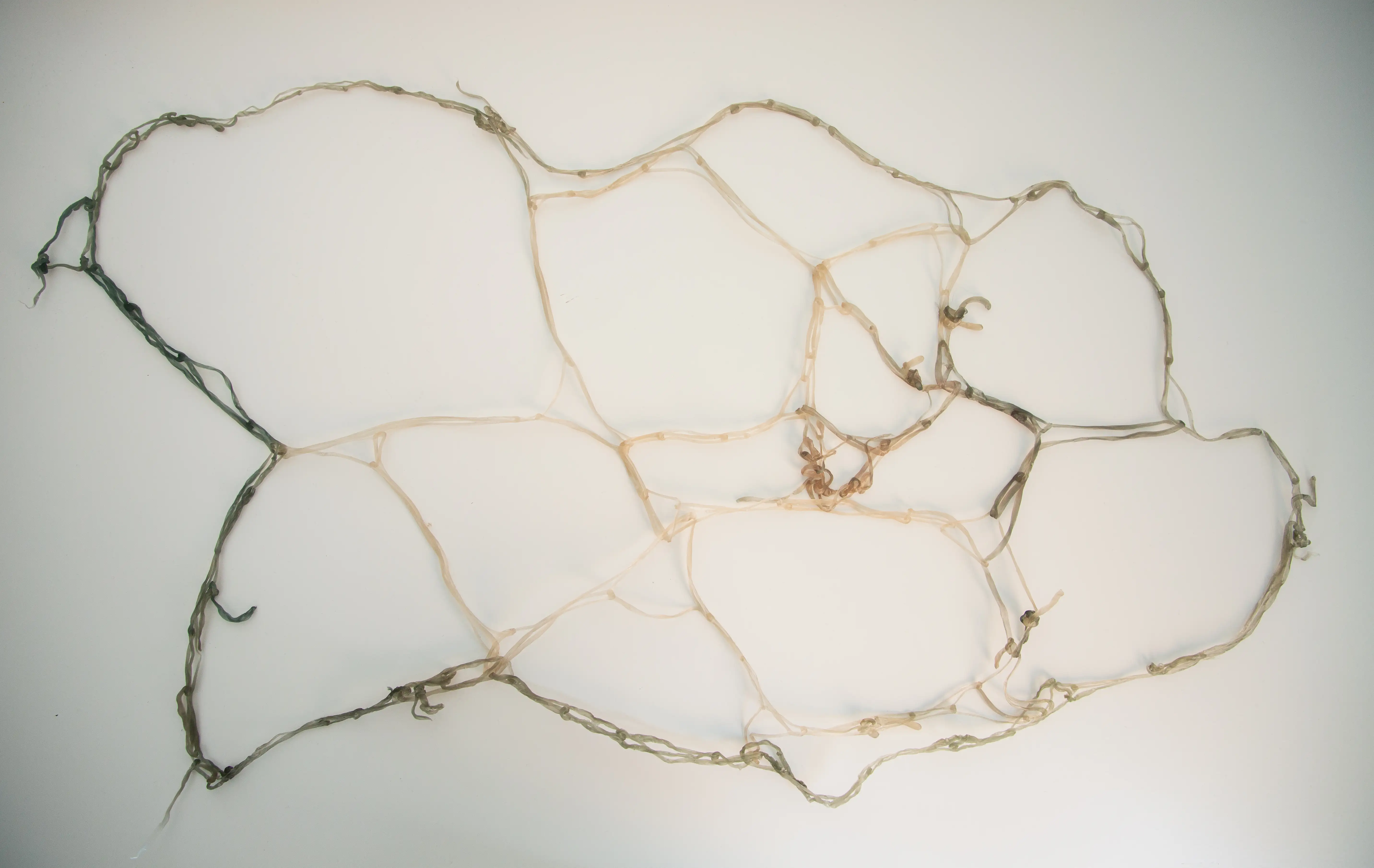 Obra 8