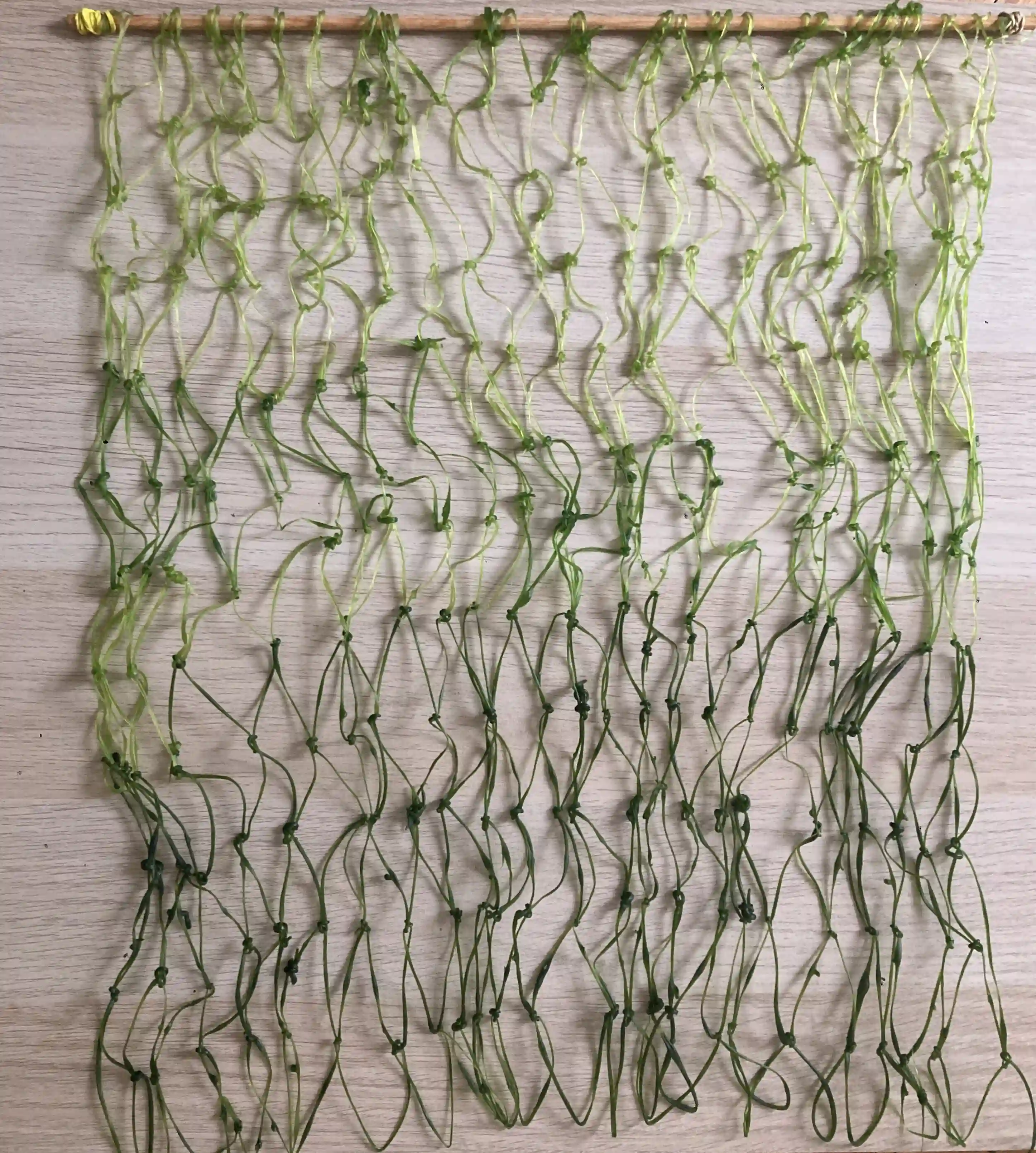 Obra 6