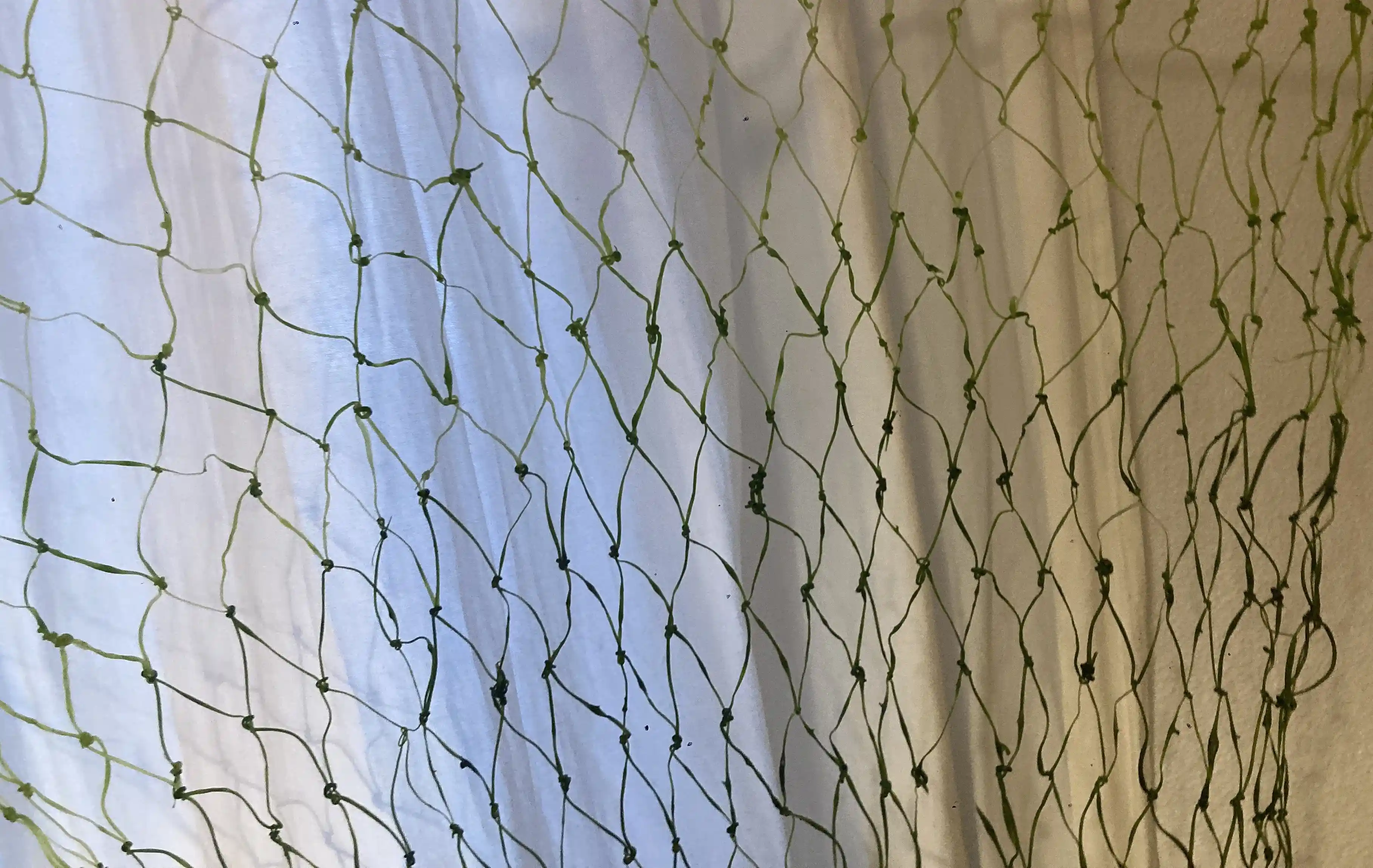 Obra 7